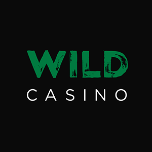 Wild Casino Binance Coin slots site